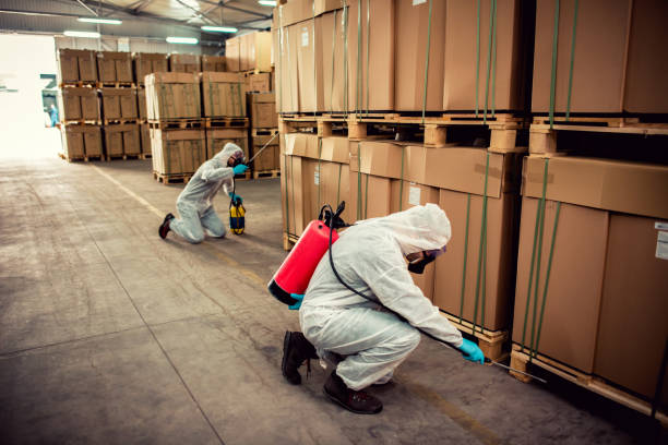 Best Termite Control Services  in Breese, IL