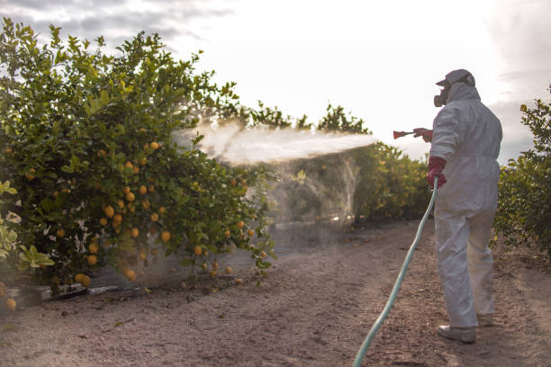 Trusted Breese, IL Pest Control Experts