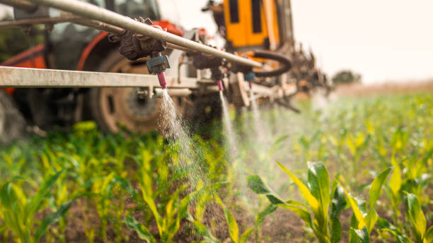 Best Commercial Pest Control Services  in Breese, IL